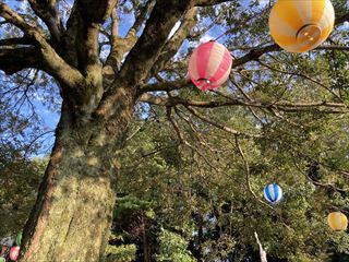 茨城県守谷市 お祭り電源工事